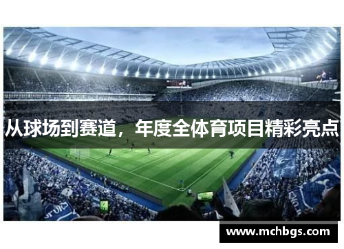 从球场到赛道，年度全体育项目精彩亮点