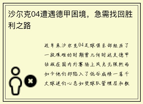 沙尔克04遭遇德甲困境，急需找回胜利之路